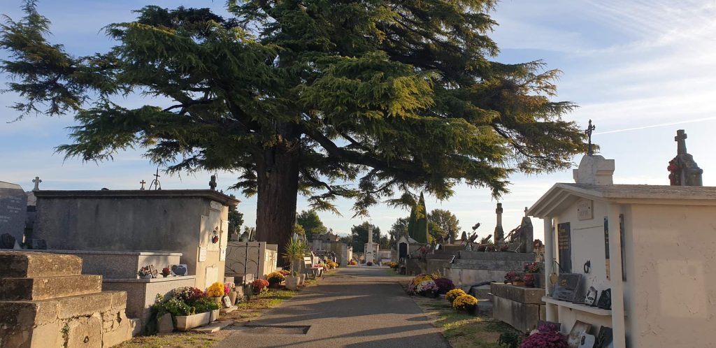 Caderousse - Cimetière - Agrandissement